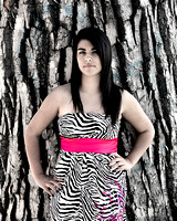 Selective Color, Faded Color and Draganized