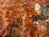 Hot Springs Algal Mat Abstract