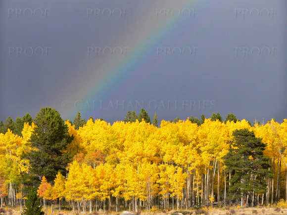 Rainbow and Fall Color