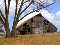 Buck's Barn #4