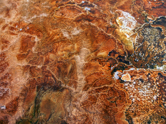 Hot Springs Algal Mat Abstract
