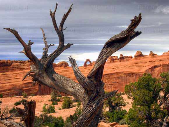 Delicate Arch -- A Different View
